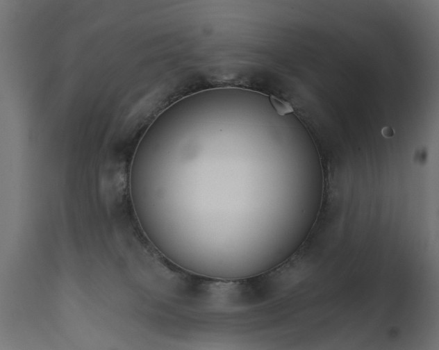 X0000111510085200907281325
