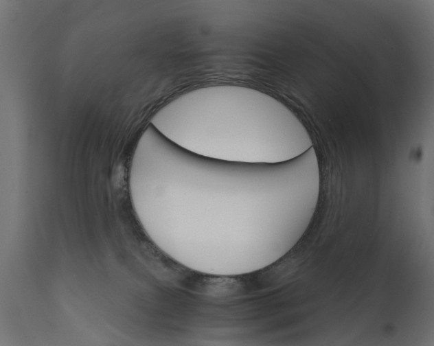 X0000111510087200907281325