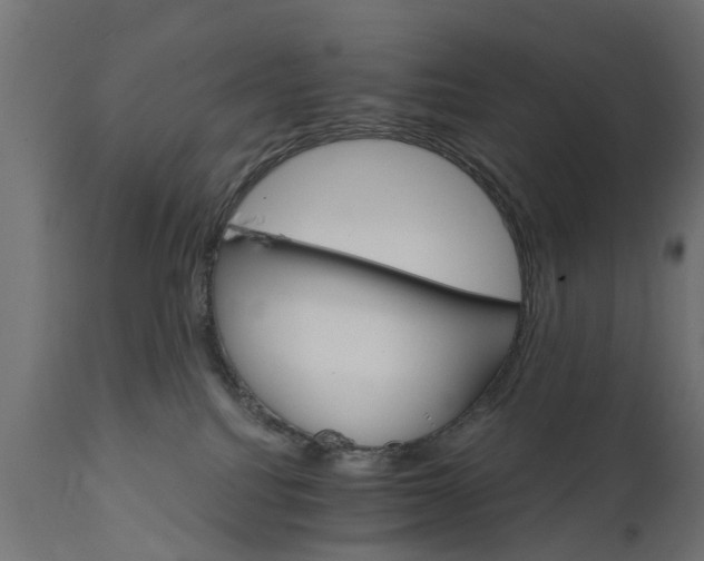 X0000111510088200907281325