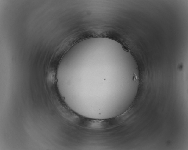 X0000111510090200907281325