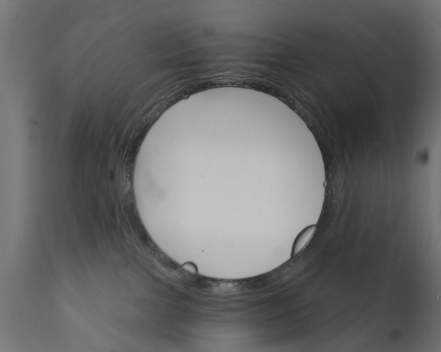 X0000111510091200907281325