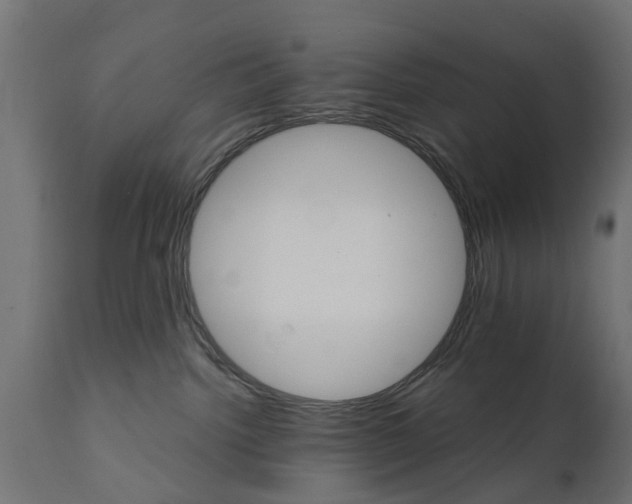 X0000111510092200907281325