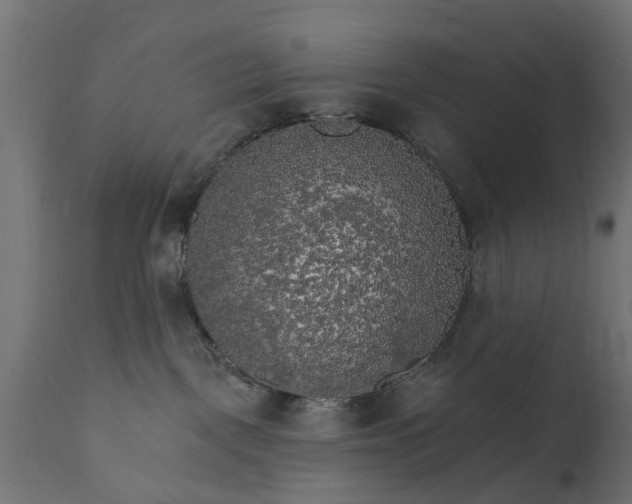 X0000111510093200907281325