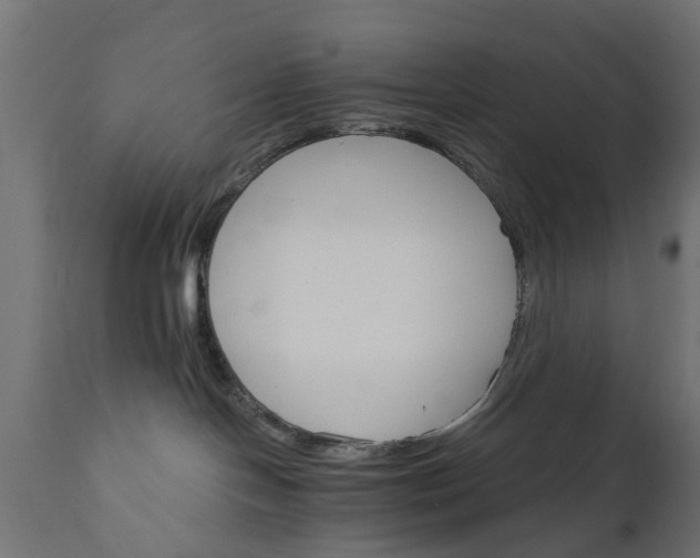 X0000111510094200907281325