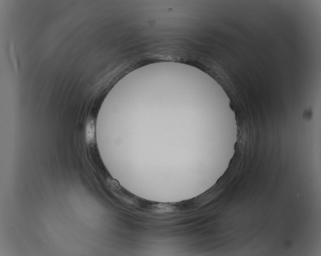X0000111510095200907281325