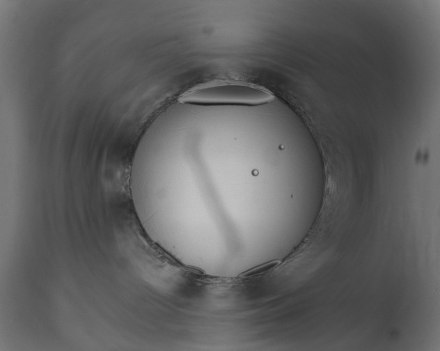 X0000111510096200907281325