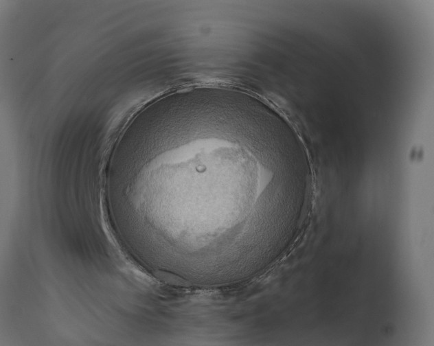 X0000111510097200907281324