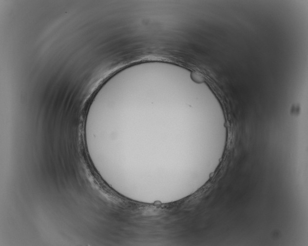 X0000111510098200907281324