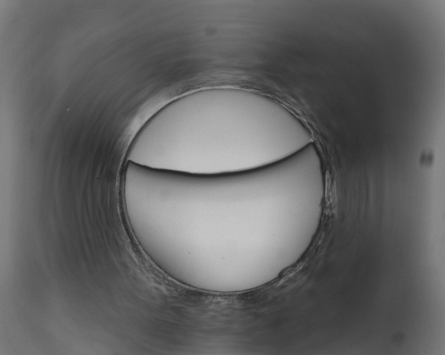 X0000111510099200907281324