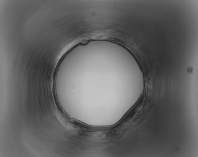 X0000111510100200907281324