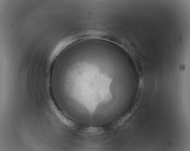 X0000111510101200907281324