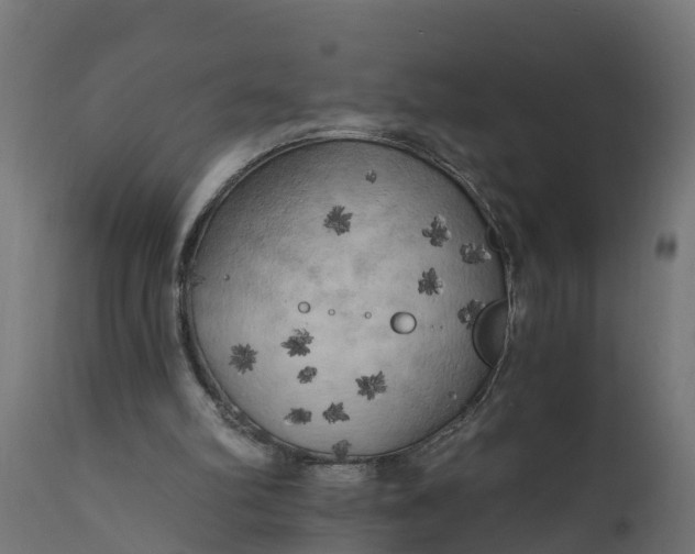 X0000111510102200907281324