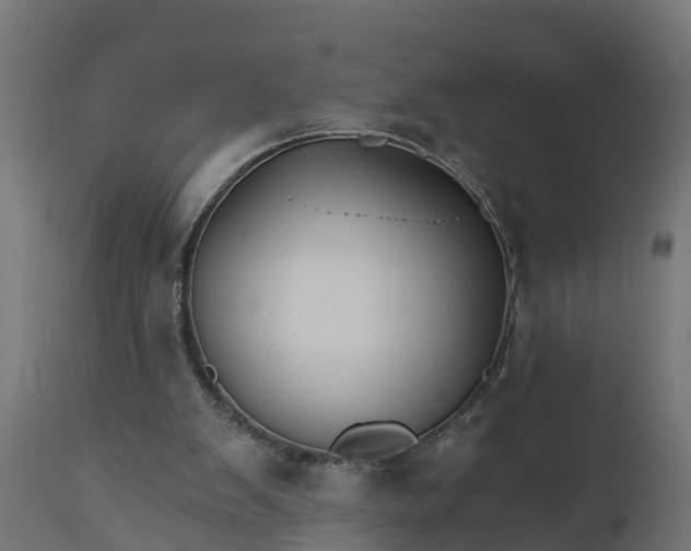 X0000111510103200907281324