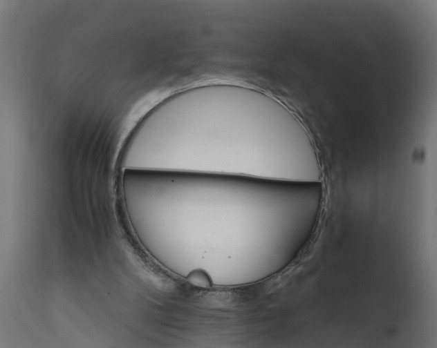 X0000111510104200907281324