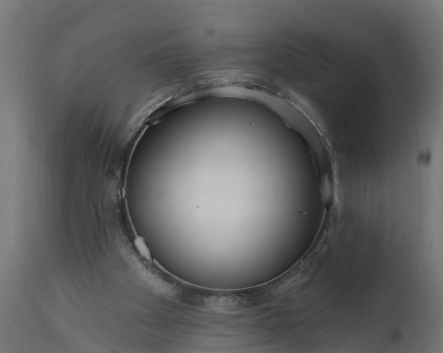 X0000111510105200907281324