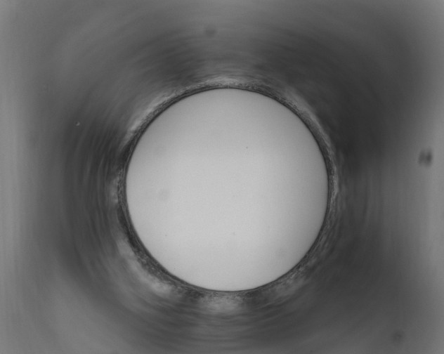 X0000111510106200907281324