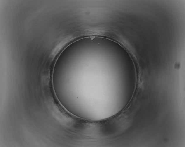 X0000111510107200907281324