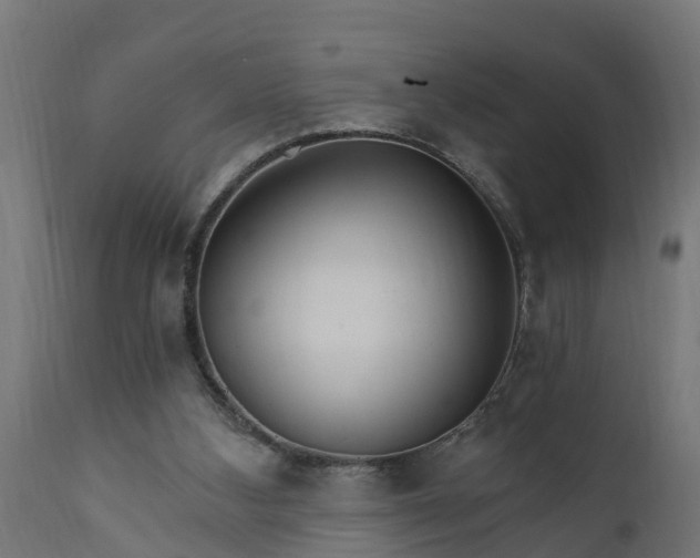 X0000111510108200907281324