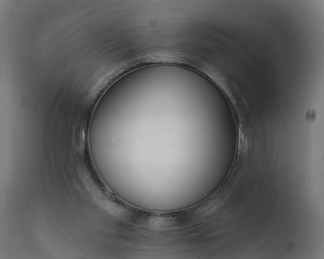 X0000111510109200907281324