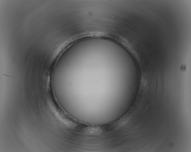 X0000111510110200907281324