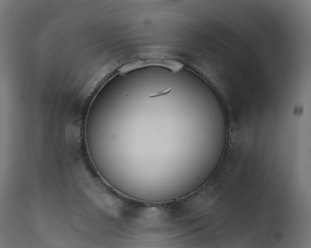 X0000111510111200907281324