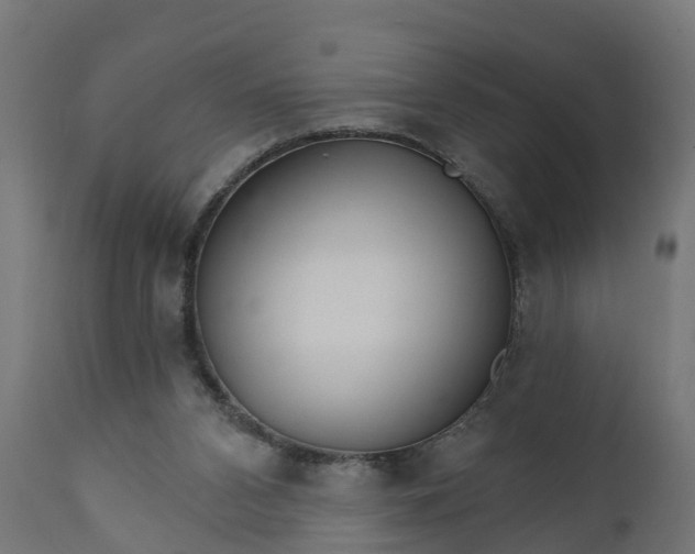 X0000111510112200907281324