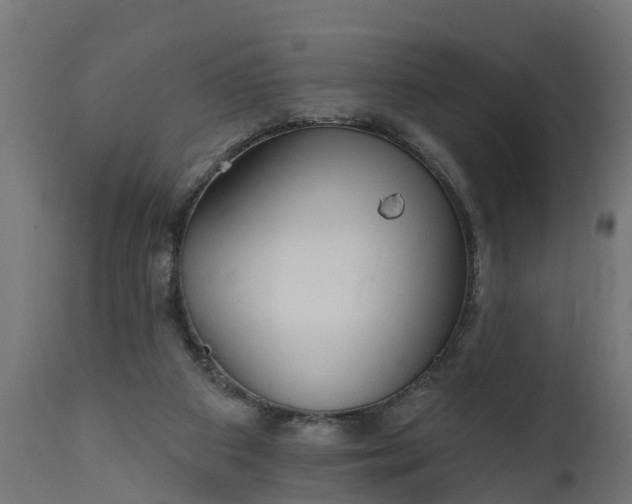 X0000111510113200907281324
