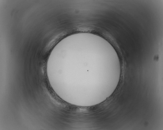 X0000111510114200907281324