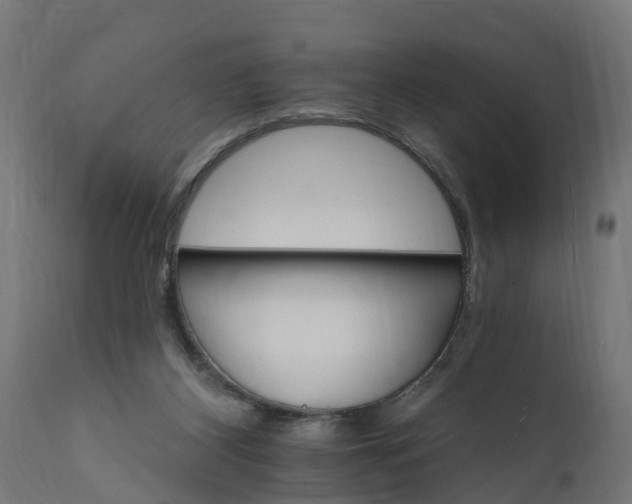 X0000111510116200907281324
