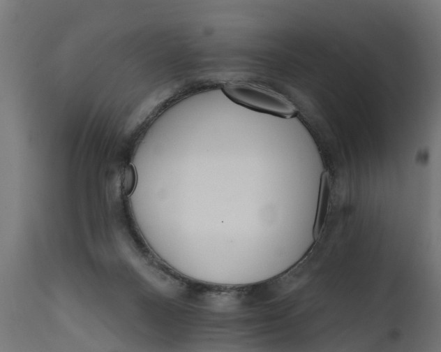 X0000111510120200907281324