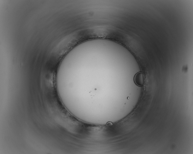 X0000111510122200907281324