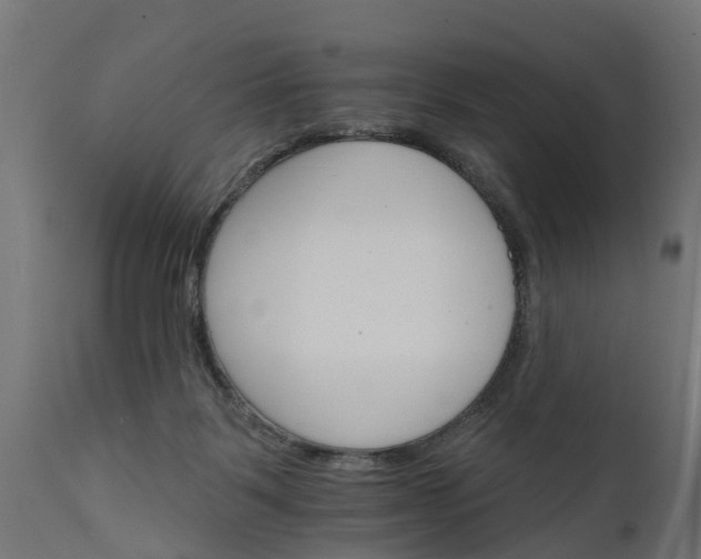 X0000111510123200907281324