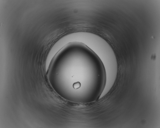 X0000111510125200907281324