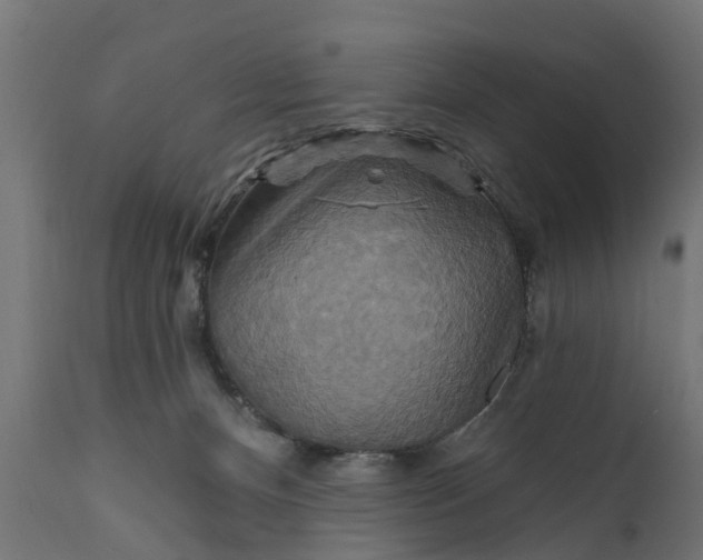 X0000111510128200907281324