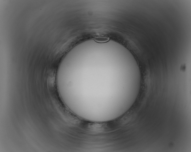 X0000111510129200907281324