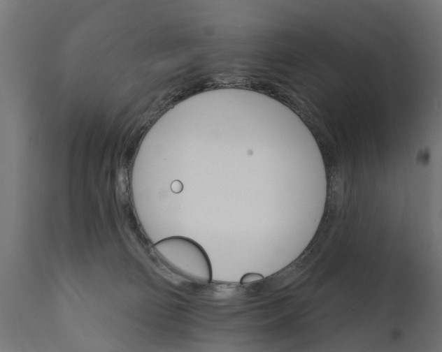X0000111510130200907281324