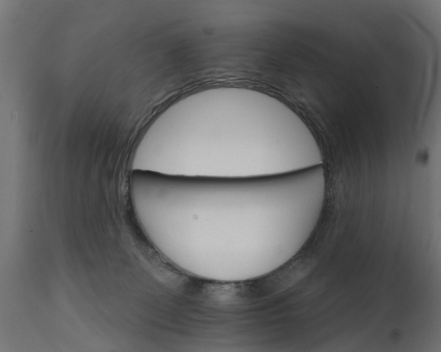 X0000111510131200907281324