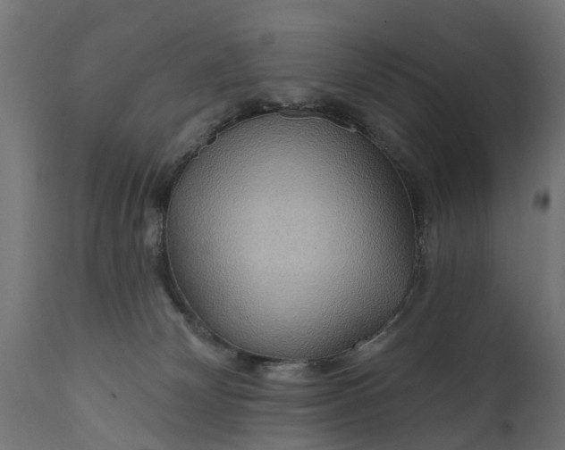 X0000111510132200907281324