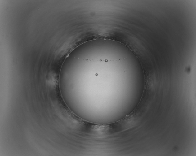 X0000111510135200907281324