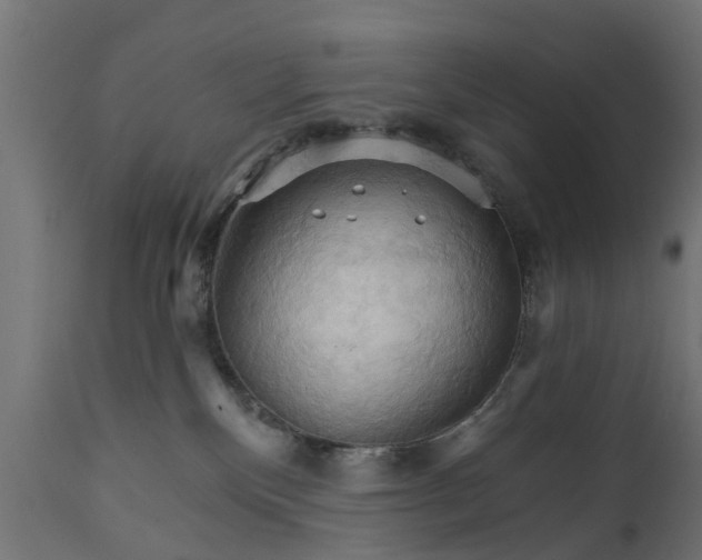X0000111510136200907281323