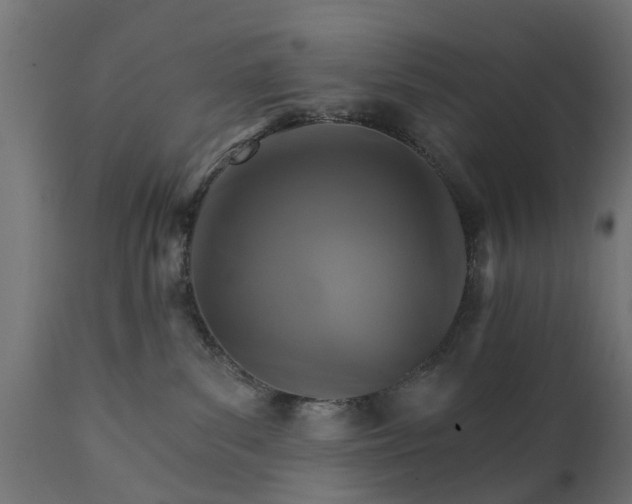 X0000111510139200907281323