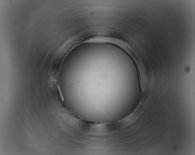 X0000111510140200907281323