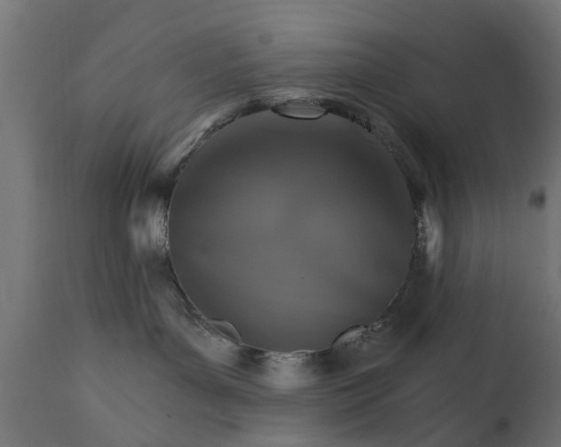 X0000111510143200907281323