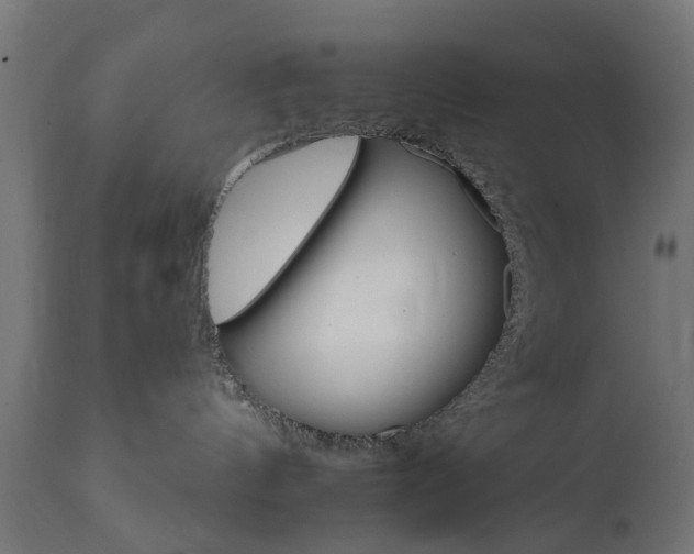 X0000111510144200907281323