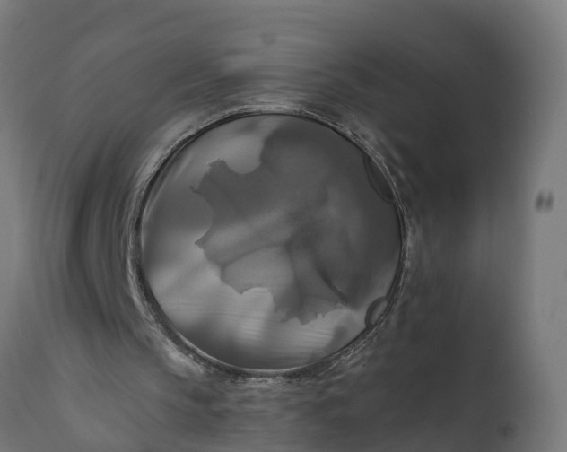 X0000111510145200907281323