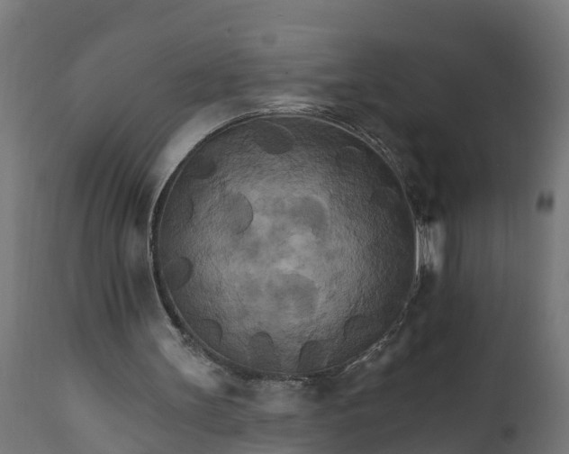X0000111510147200907281323