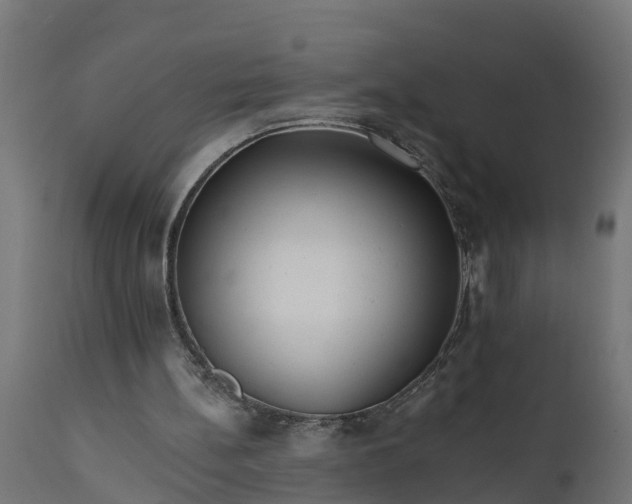 X0000111510148200907281323