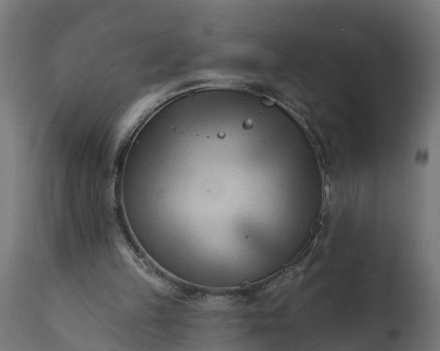 X0000111510149200907281323