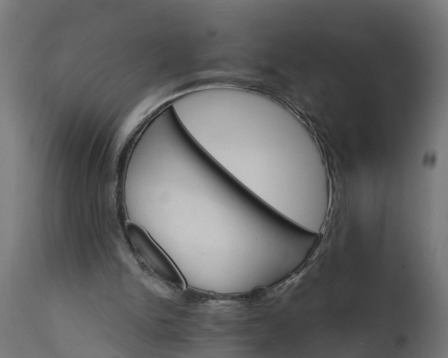 X0000111510150200907281323