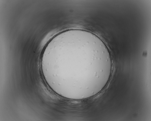 X0000111510151200907281323
